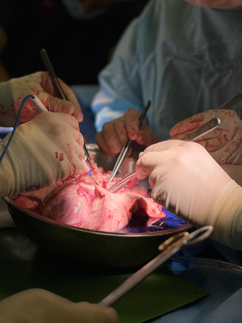 Фото 4.jpeg Фото 4.jpeg